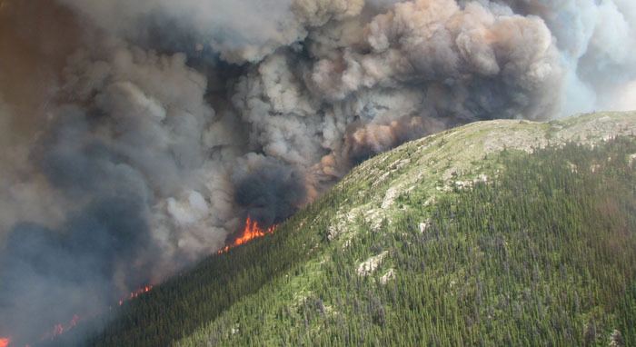 The Mount McAllister fire in northeast B.C. stabilized with lower winds