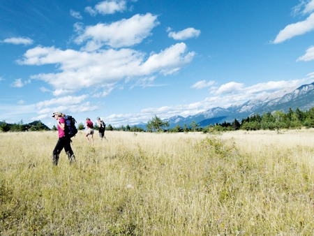 The Marion Creek Benchlands feature an expansive grassland