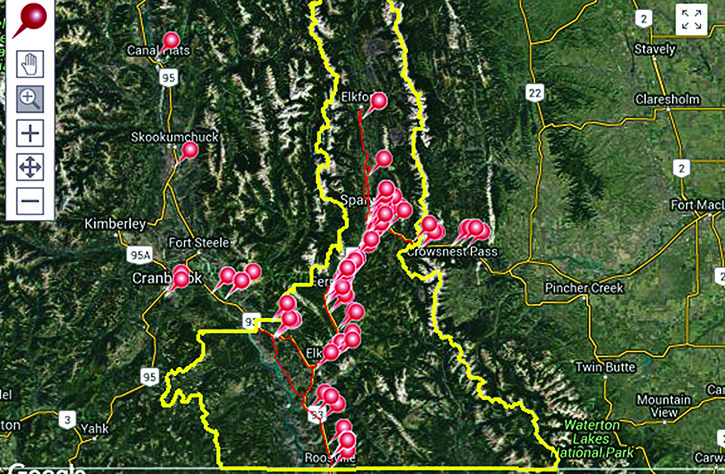 Red pin icons mark wildlife observations on the RoadWatch BC website.