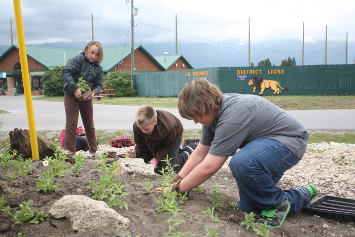 JA Laird Elementary School hard at work planting.