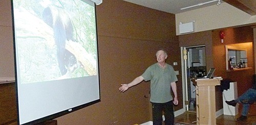 Wildsight was proud to have Doug Chadwick at Pynelogs Cultural Centre on February 19. Chadwick gave a presentation to a full house about his five years volunteering with wolverine studies in Glacier National Park and to introduce his book