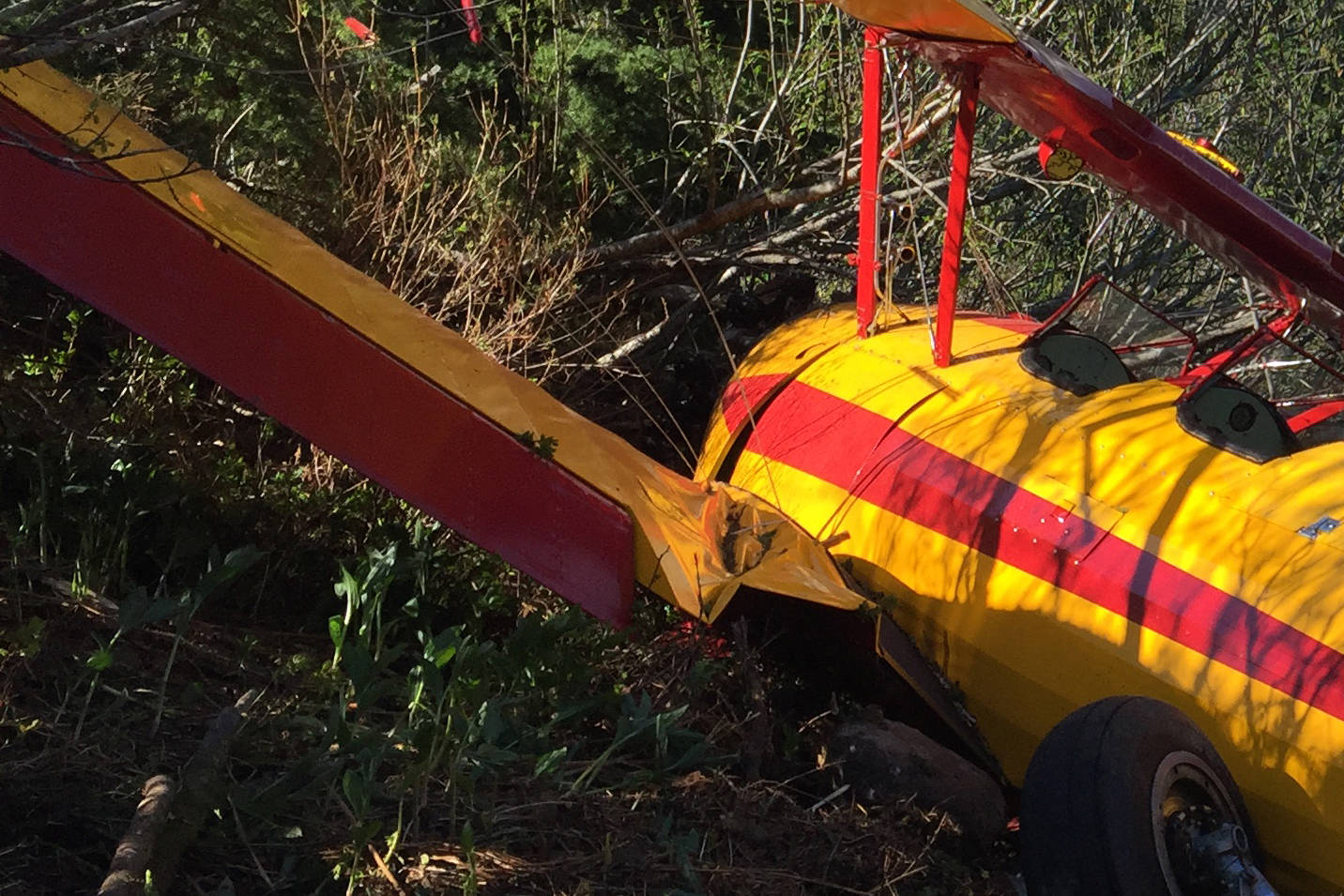 A vintage bi-plane lies crashed in an avalanche path in Glacier National Park. ~ Parks Canada photo