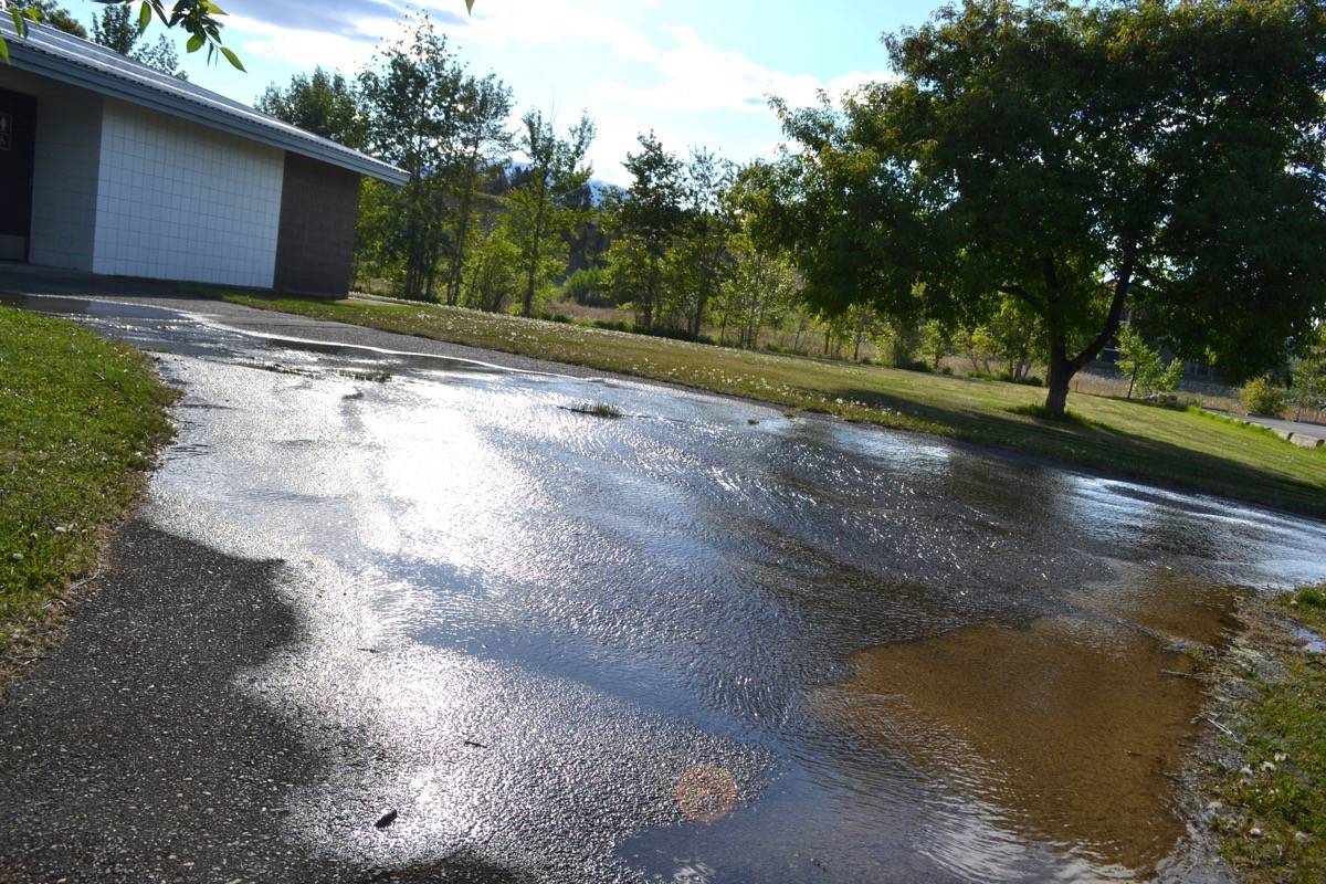 Water from a broken pipe glistens in the evening sun at James Chabot park May 26.                                Photo by Nikki Fredrikson