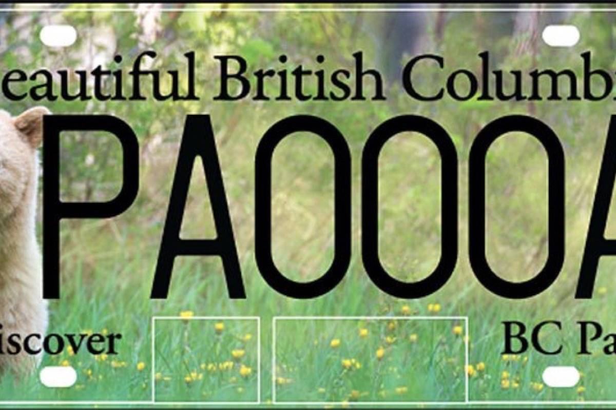 Specialty licence plates raise over $500,000 for BC Parks