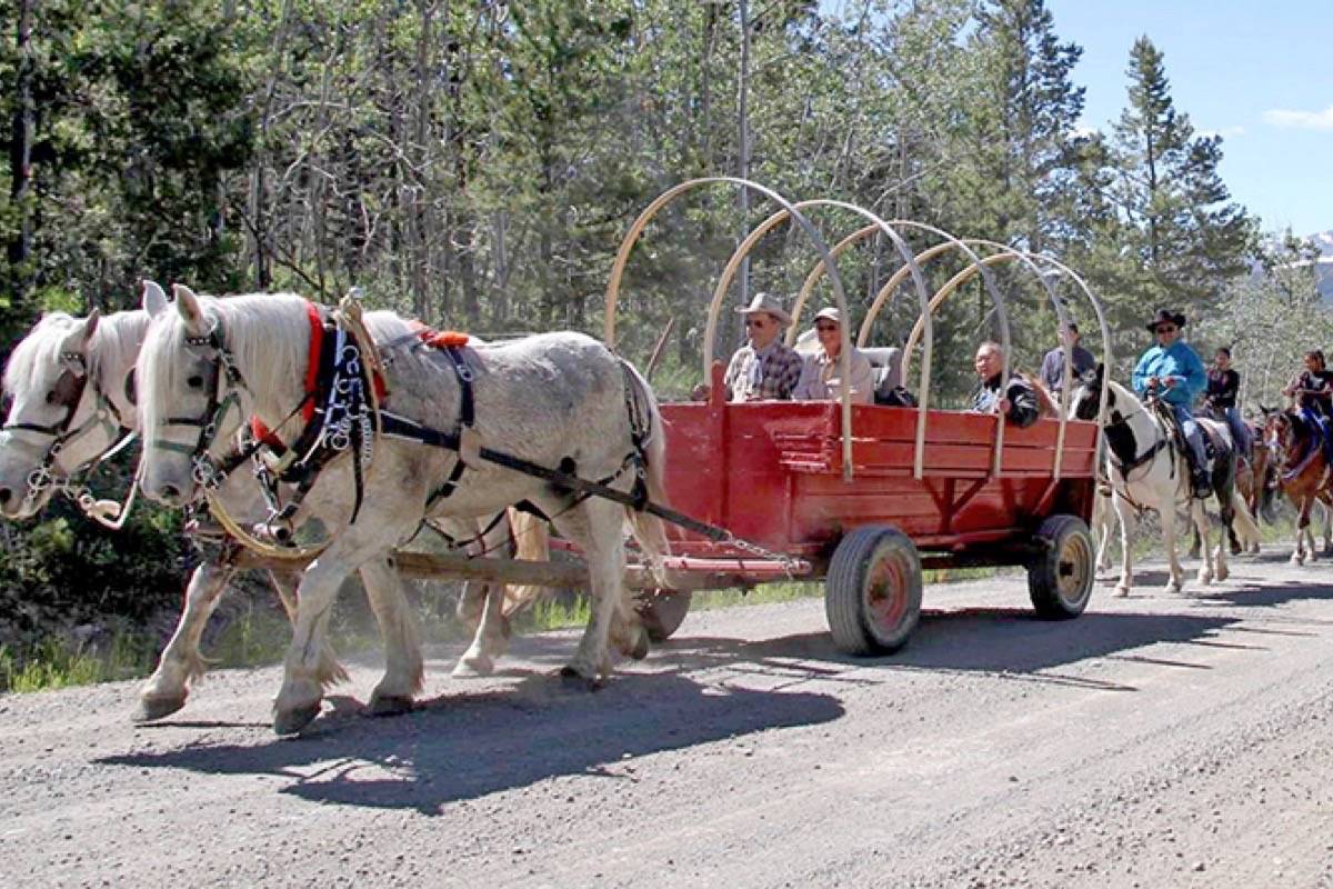 UPDATE: 6 injured after horse and wagon falls down embankment in Williams Lake