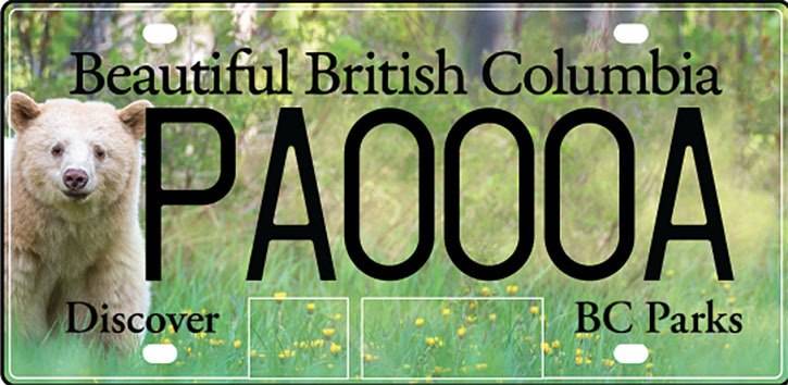 A Kermode bear BC Parks licence plates. (ICBC)