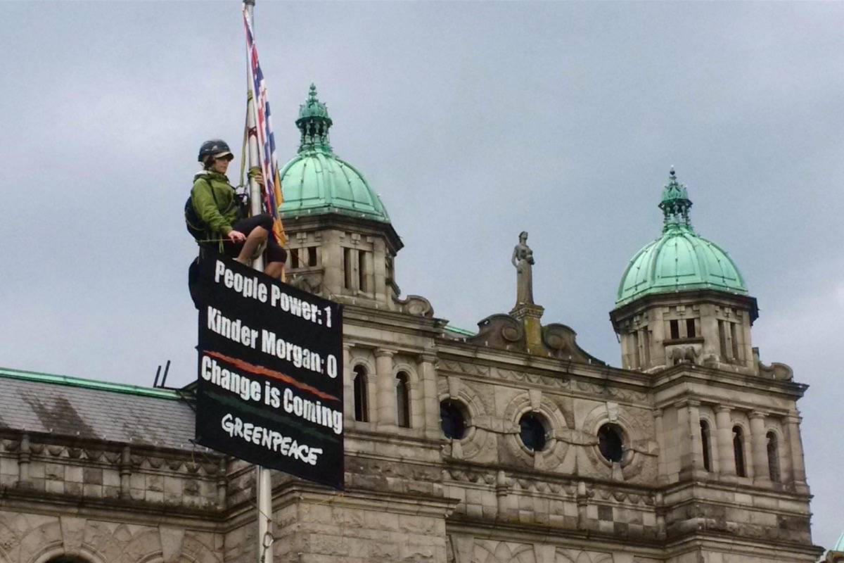 A Greenpeace employee climbs a flagpole in front of the B.C. legislature the morning after a deal is reached between the NDP and B.C. Green Party to form a minority government. (Tom Fletcher/Black Press)