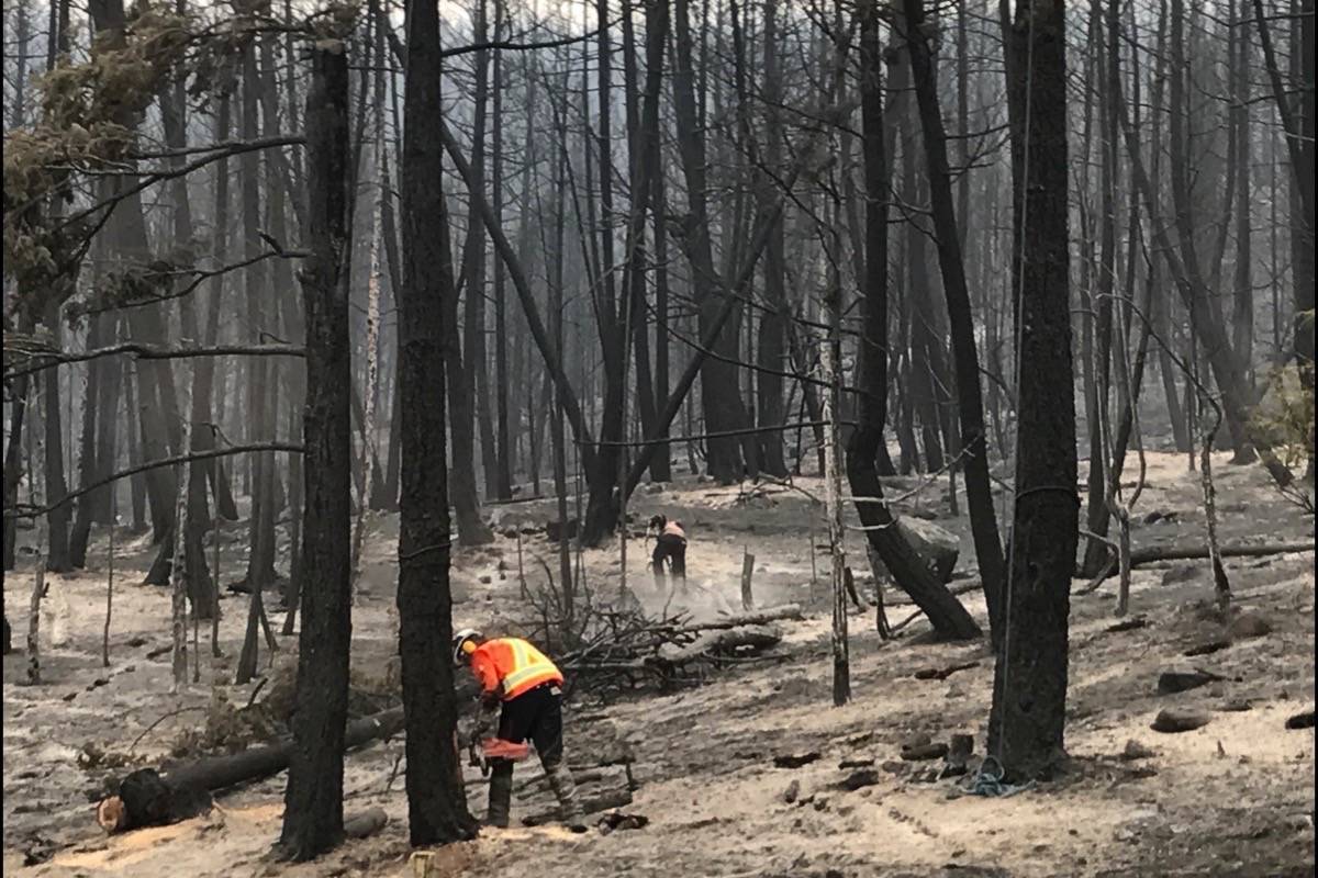 Utility arborists work in a section of burned out forest near 150 Mile House Monday, where fire crews have made good progress keeping fires away from residential areas. Angie Mindus photo