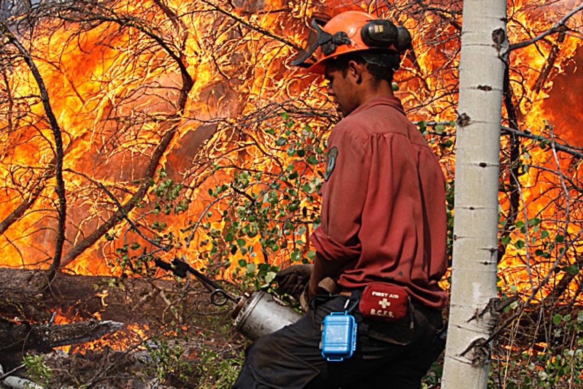 Firefighter sets a back-burn to contain the Meldrum Creek wildfire complex, spreading east towards Williams Lake, August 2010. (B.C. Forest Service)