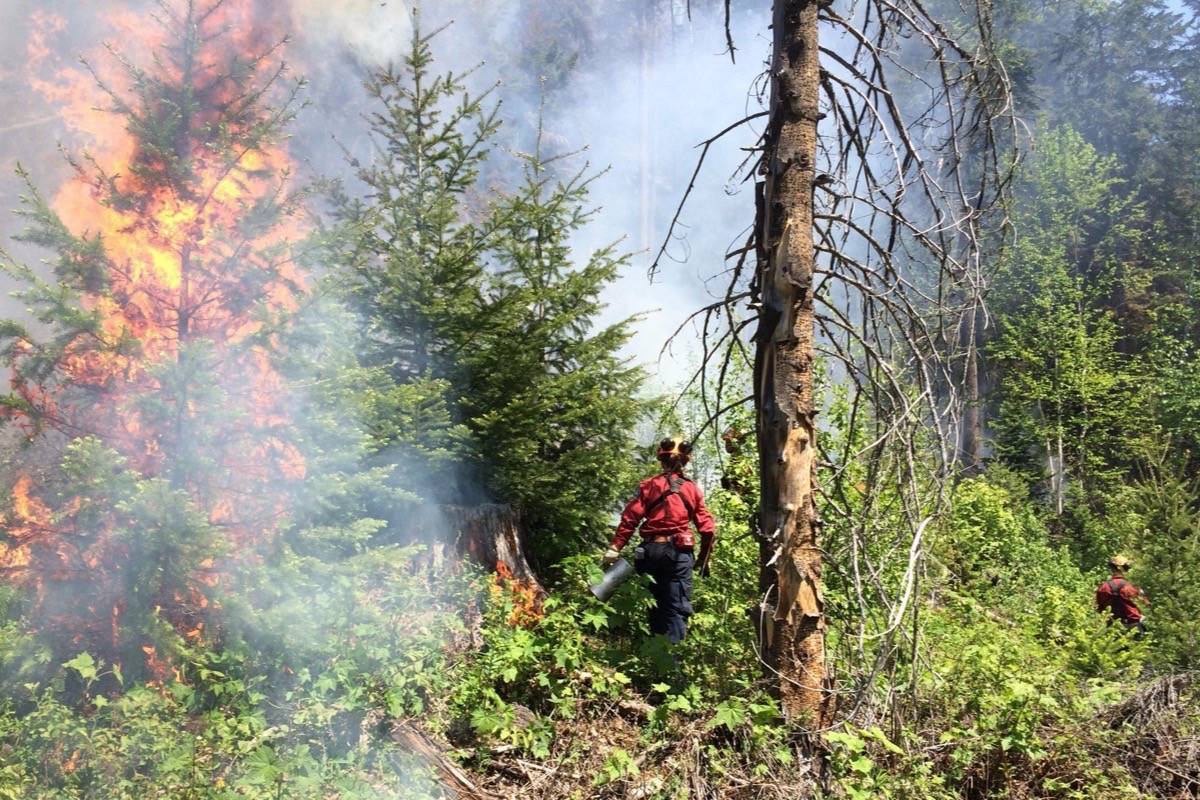 Crews battle an early June wildfire near Tete Jaune Cache in northeastern B.C. (BC Wildfire Service)