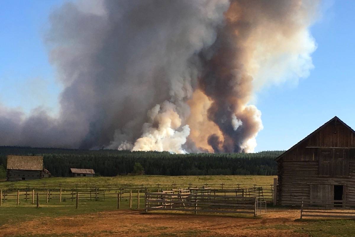 Abel Lake Ranch (Submitted by Caroline Brown)