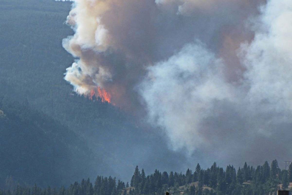 VIDEO: B.C. wildfires by the numbers