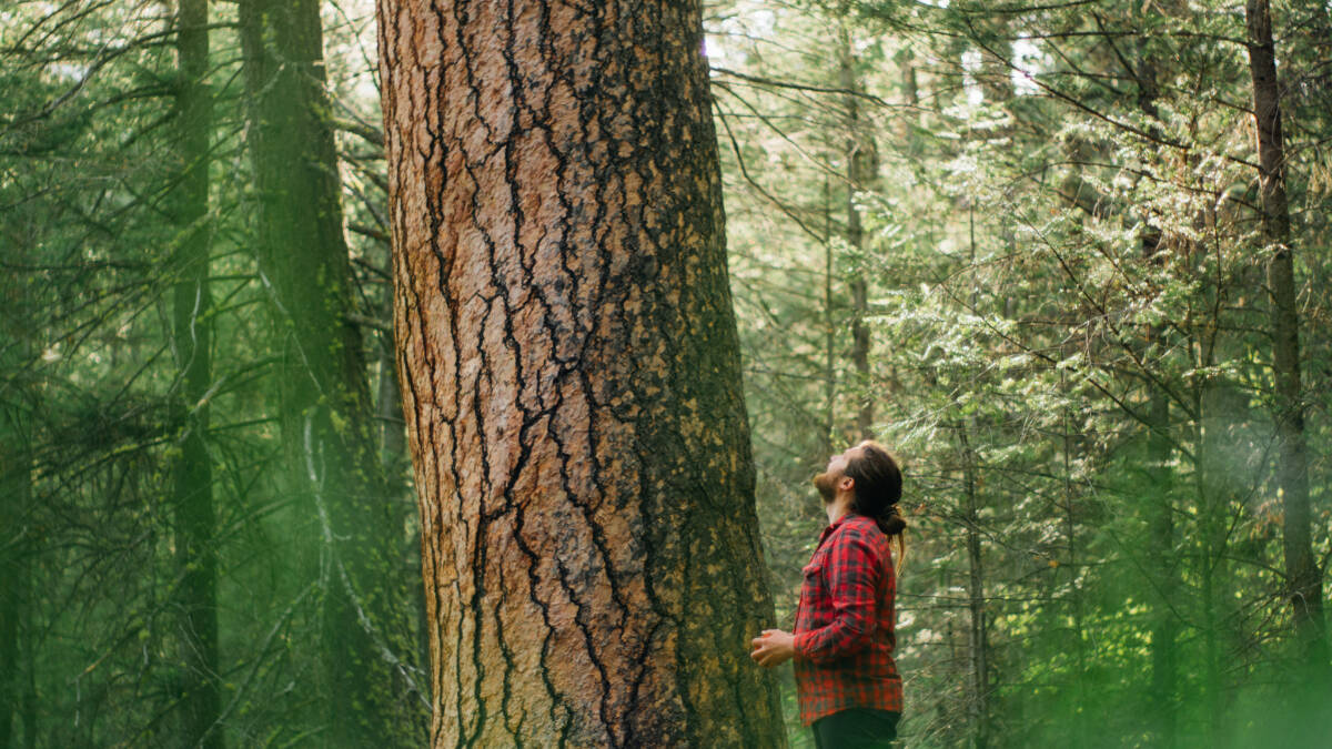 Eddie Petryshen stands next to an old-growth tree (photo courtesy of Wildsight)